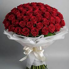Букет 101 Красная роза Блэк Мэджик в Бешпагире