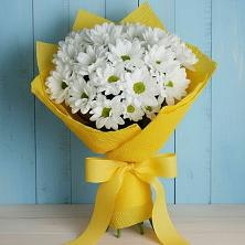Букет цветов из:  Хризантемы в Бешпагире