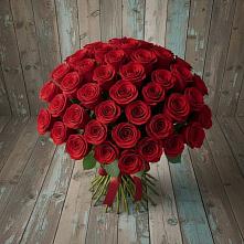 Букет 55 Красных роз Фридом #REPLACE_PRED# Бешпагире