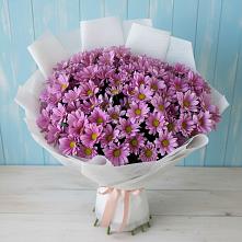 Букет цветов из:  Хризантемы в Бешпагире