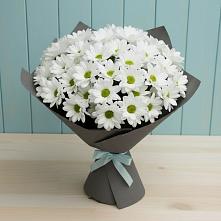 Букет цветов из:  Хризантемы #REPLACE_PRED# Бешпагире