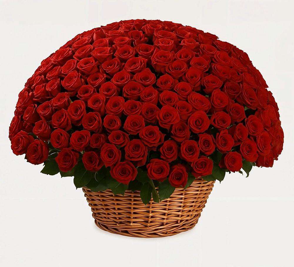 Премиум букет из: Розы в Бешпагире