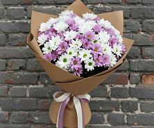 Букет цветов из:  Хризантемы #REPLACE_PRED# Бешпагире