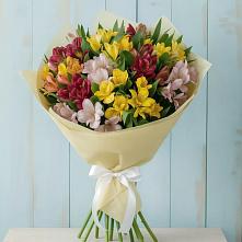 Букет цветов из:  Альстромерии в Бешпагире