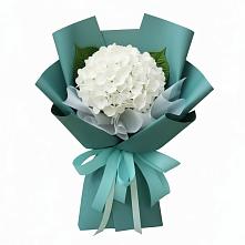Букет цветов из:  Гортензия в Бешпагире